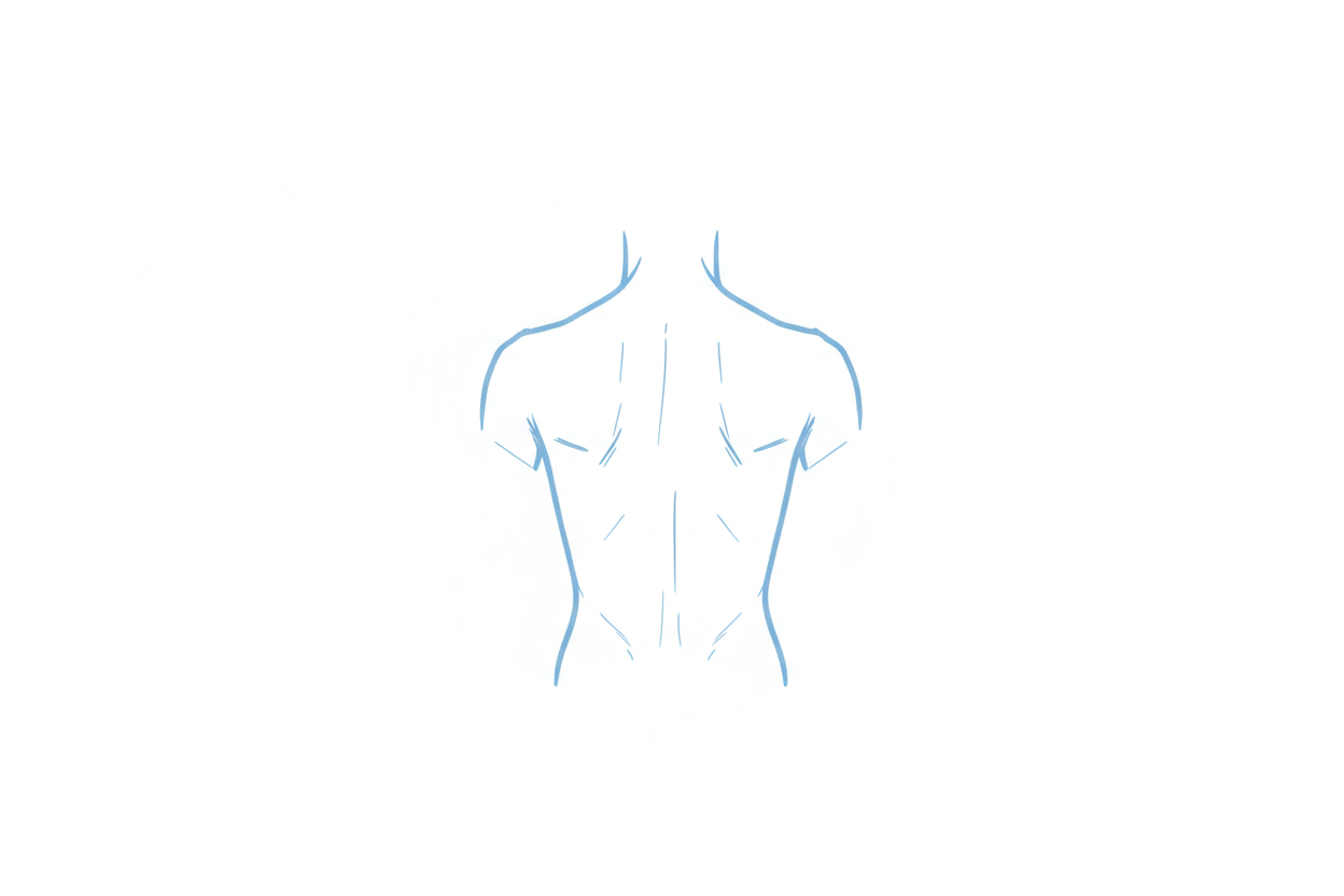 תמיכה בגב ועמוד השדרה